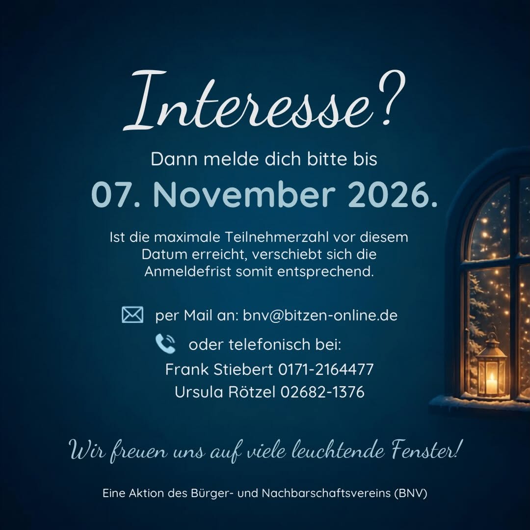 Aufruf zur Teilnahme an der Adventsfensteraktion - 6